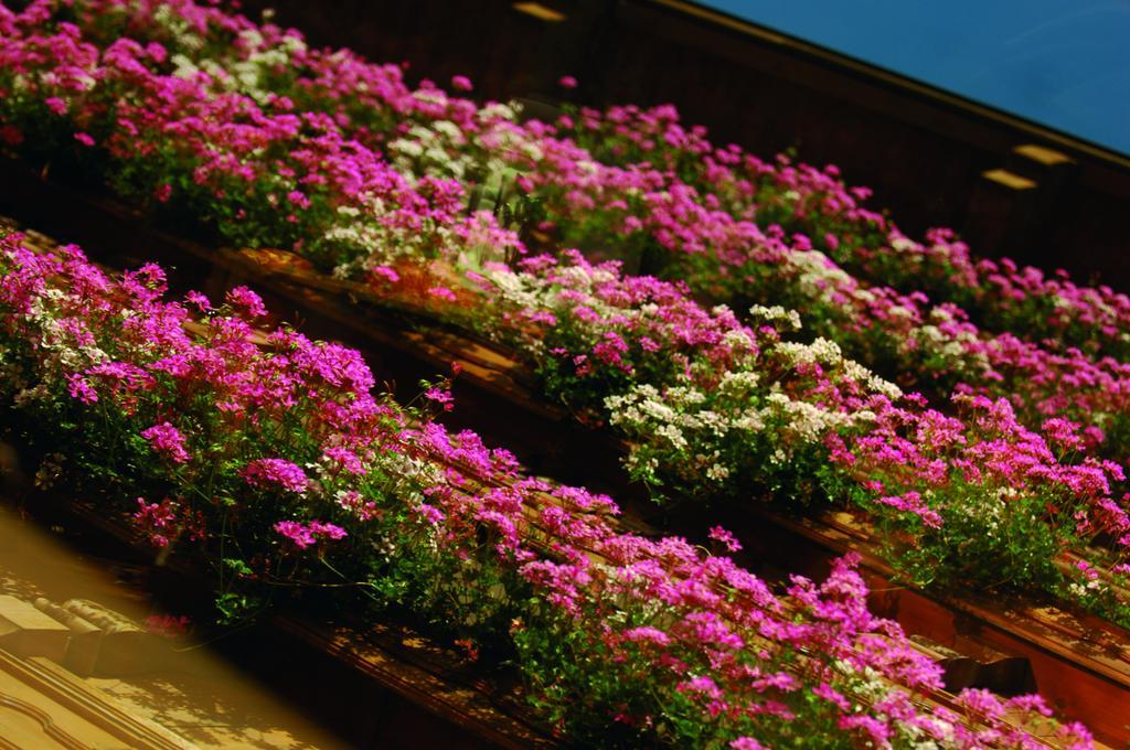 Hotel Shandranj เตเซโร ภายนอก รูปภาพ